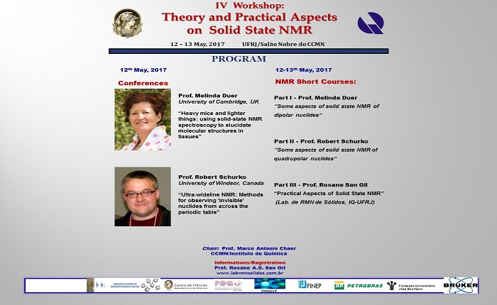 IV Workshop: Theory and Practical Aspects on Solid State NMR