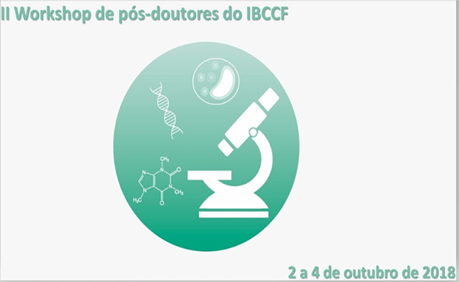 II Workshop dos pós-doutores do IBCCF