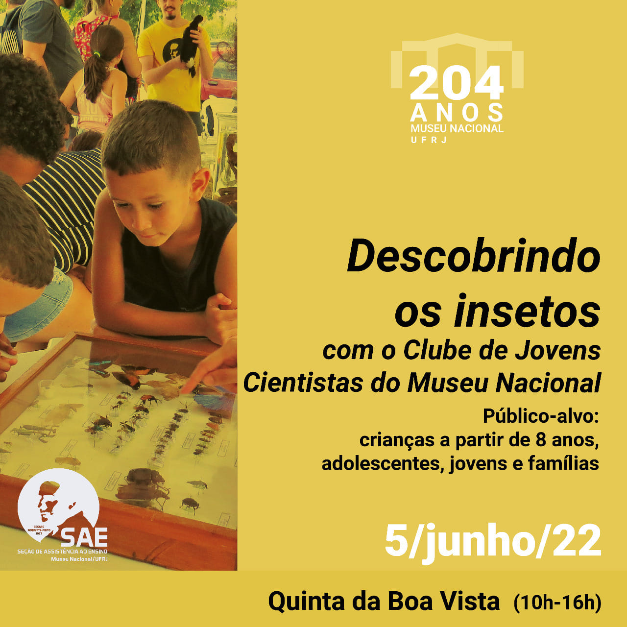 Descobrindo os insetos com o Clube de Jovens Cientistas do MN