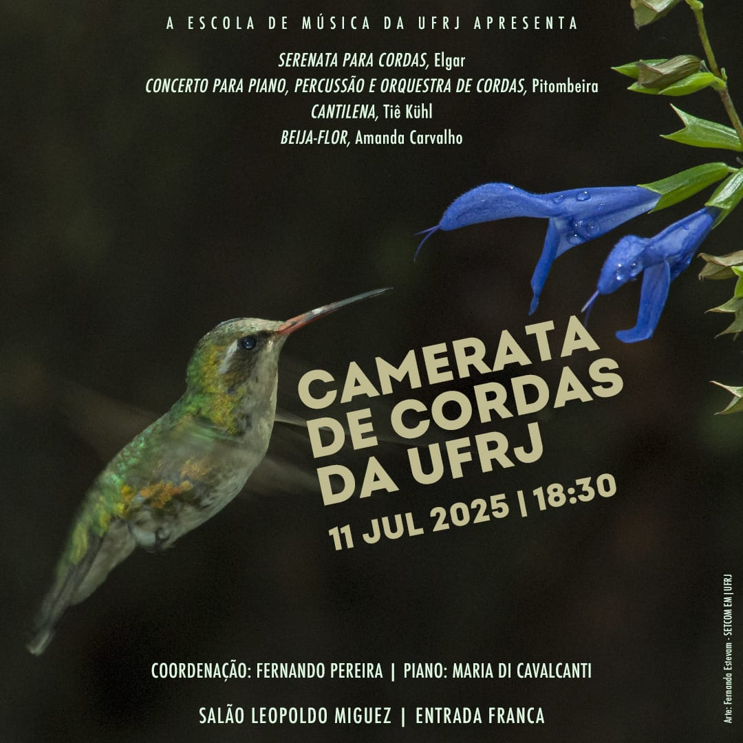 Camerata de Cordas da UFRJ
